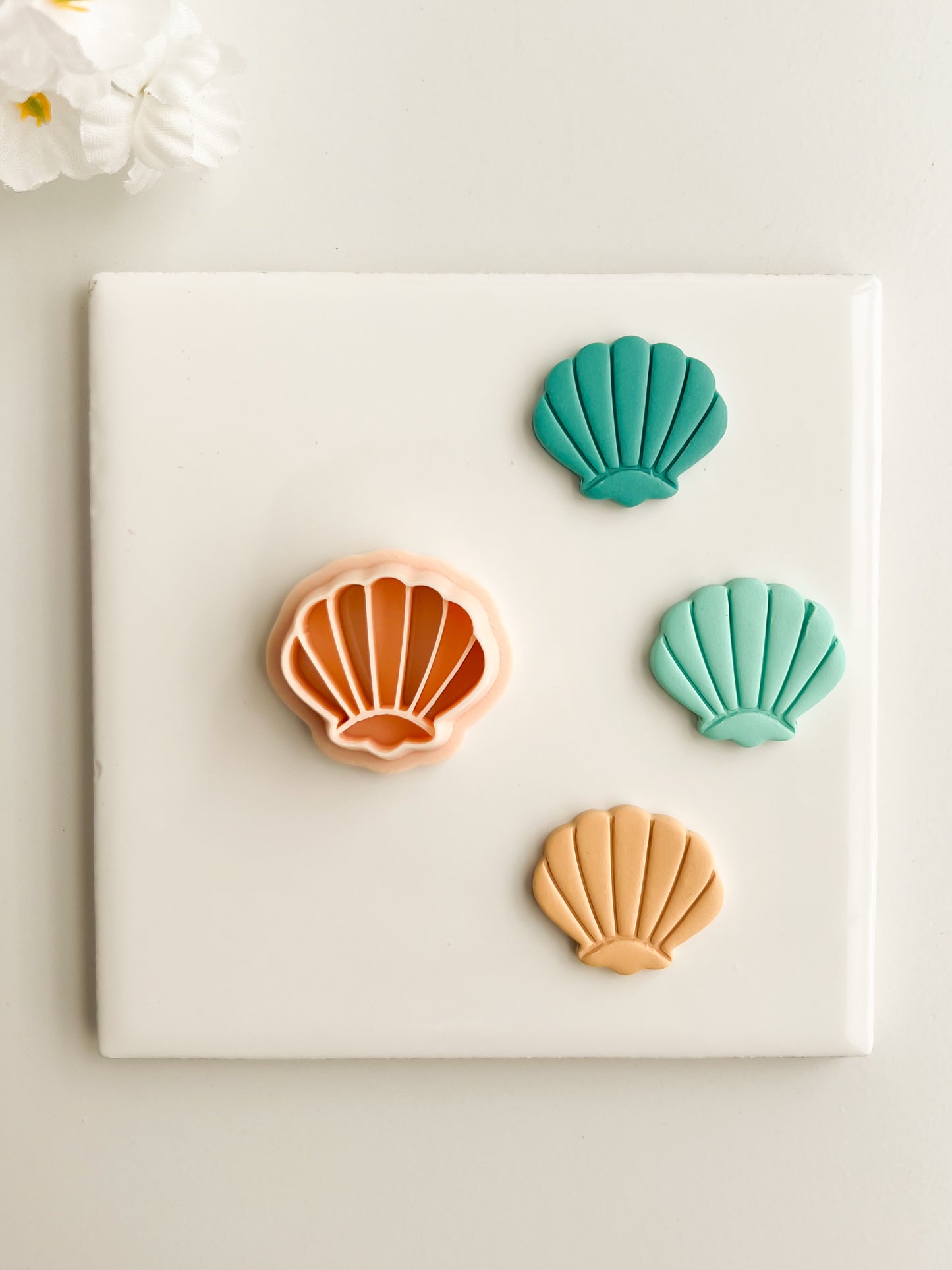 Seashell No. 4 Clay Cutter | Seashell No. 4 Polymer Clay Cutter for DIY Summer Earrings Nautical Jewelry and Handmade Beach Accessories