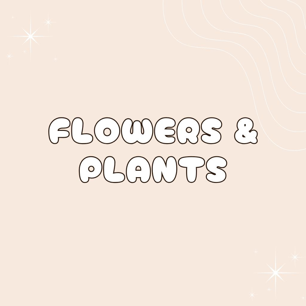 Flowers & Plants