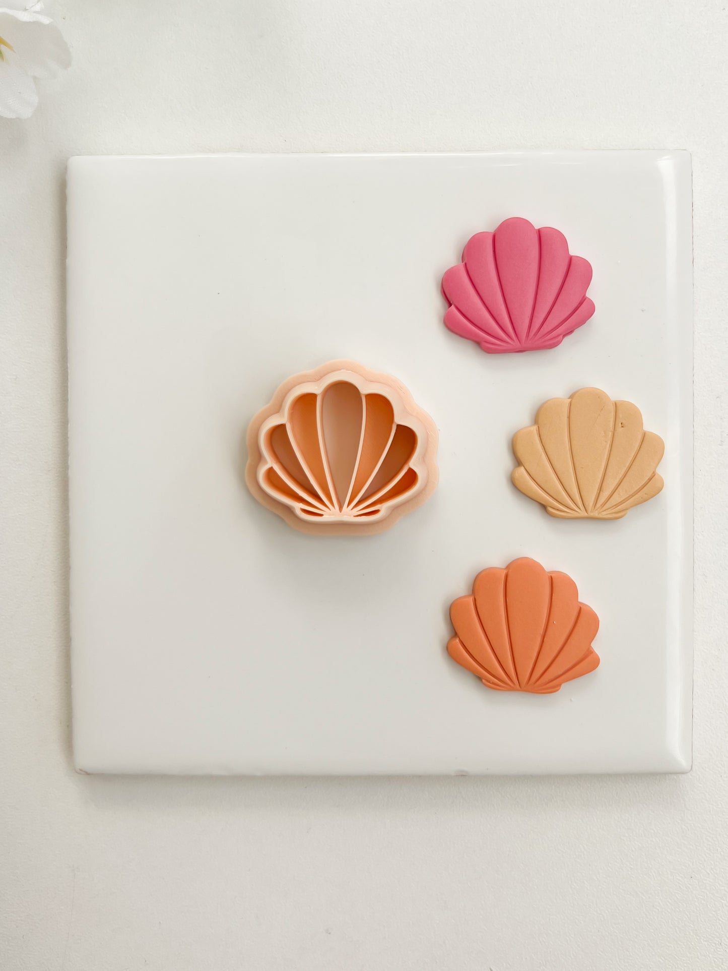 Seashell No. 5 Clay Cutter | Seashell No. 5 Polymer Clay Cutter for DIY Ocean Earrings Beach-Themed Jewelry and Handmade Coastal Accessories