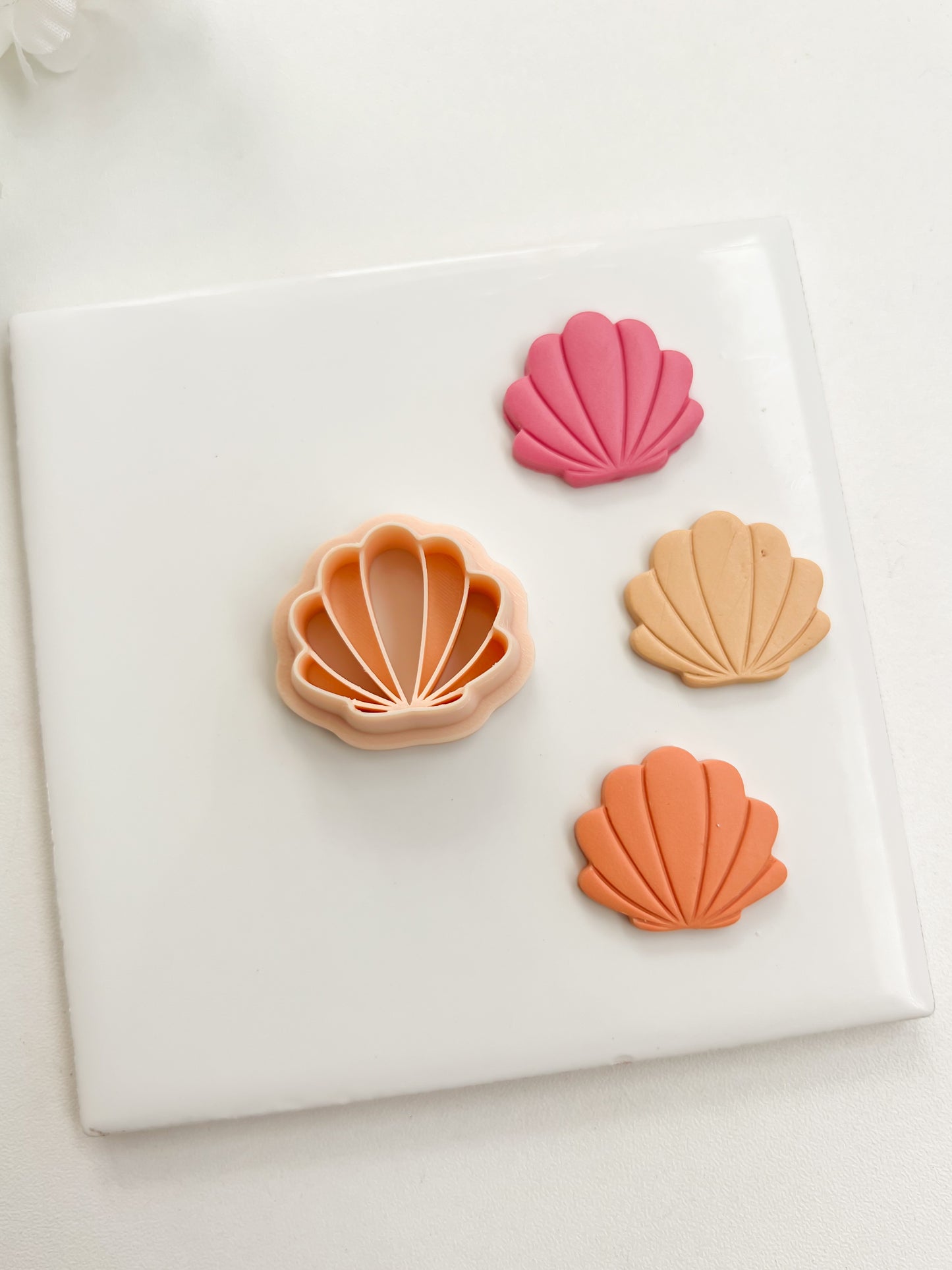 Seashell No. 5 Clay Cutter | Seashell No. 5 Polymer Clay Cutter for DIY Ocean Earrings Beach-Themed Jewelry and Handmade Coastal Accessories