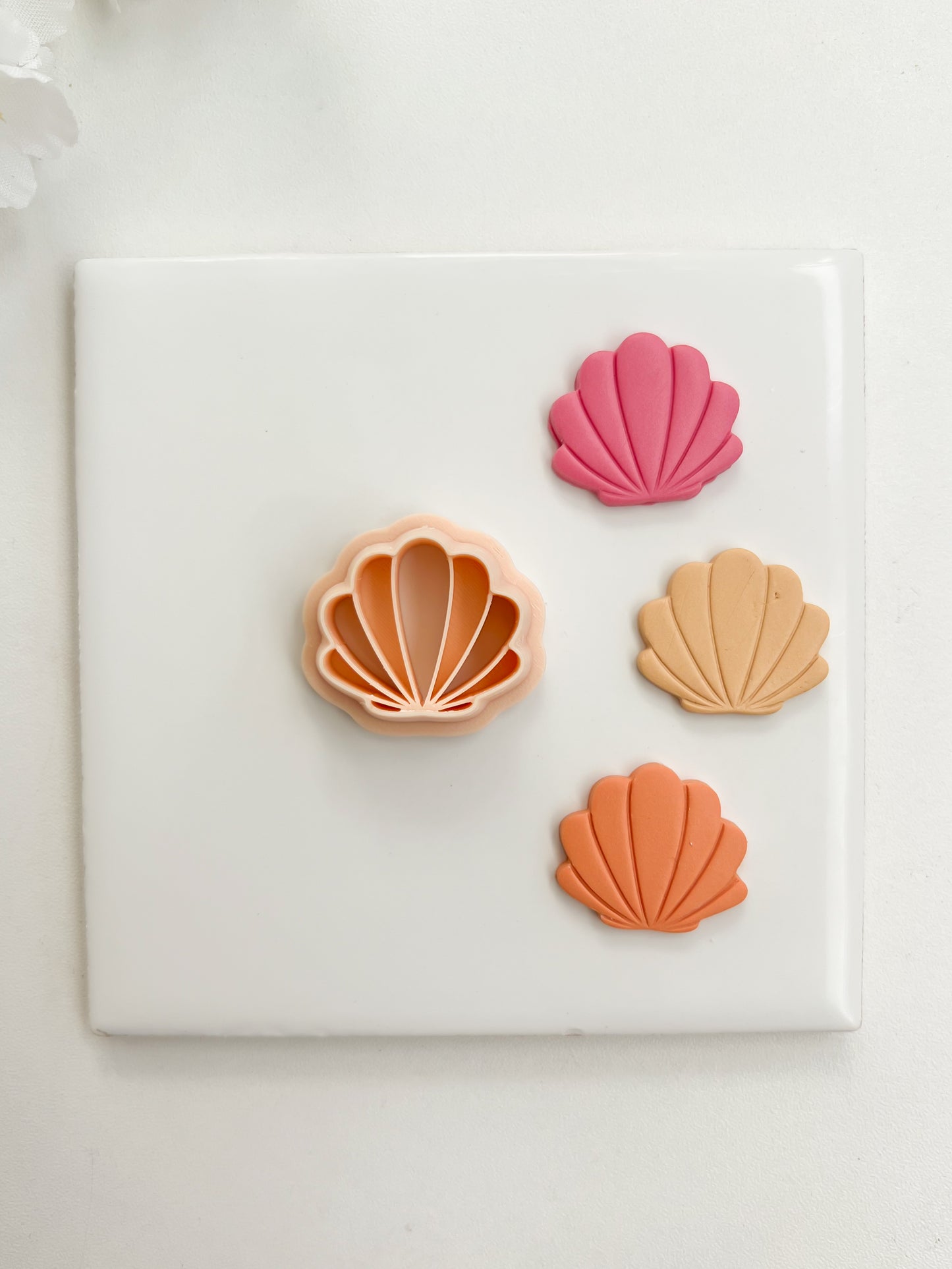 Seashell No. 5 Clay Cutter | Seashell No. 5 Polymer Clay Cutter for DIY Ocean Earrings Beach-Themed Jewelry and Handmade Coastal Accessories