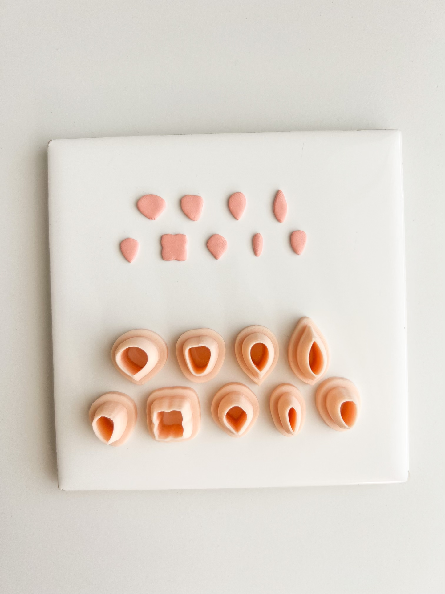 Micro Petal Clay Cutter Set | Micro Petal Polymer Clay Cutter Set for DIY Floral Earrings Botanical Jewelry and Handmade Nature Accessories