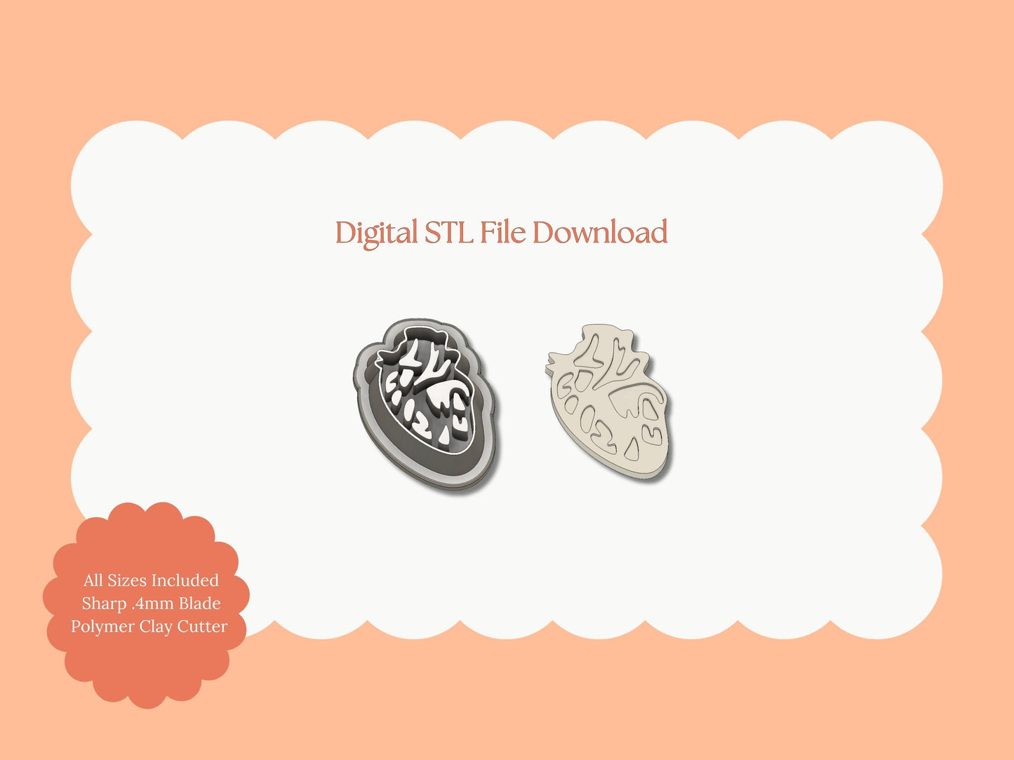 Anatomically Correct Heart Clay Cutter | Anatomical Heart STL File – Digital Medical Cutter for Anatomy Earrings & Unique Clay Crafts