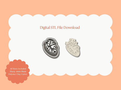 Anatomically Correct Heart Clay Cutter | Anatomical Heart STL File – Digital Medical Cutter for Anatomy Earrings & Unique Clay Crafts
