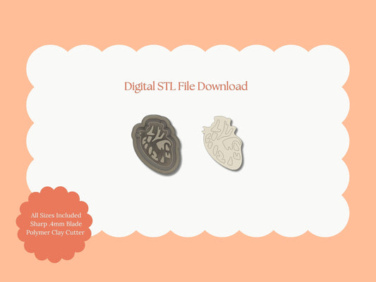 Anatomically Correct Heart Clay Cutter | Anatomical Heart STL File – Digital Medical Cutter for Anatomy Earrings & Unique Clay Crafts